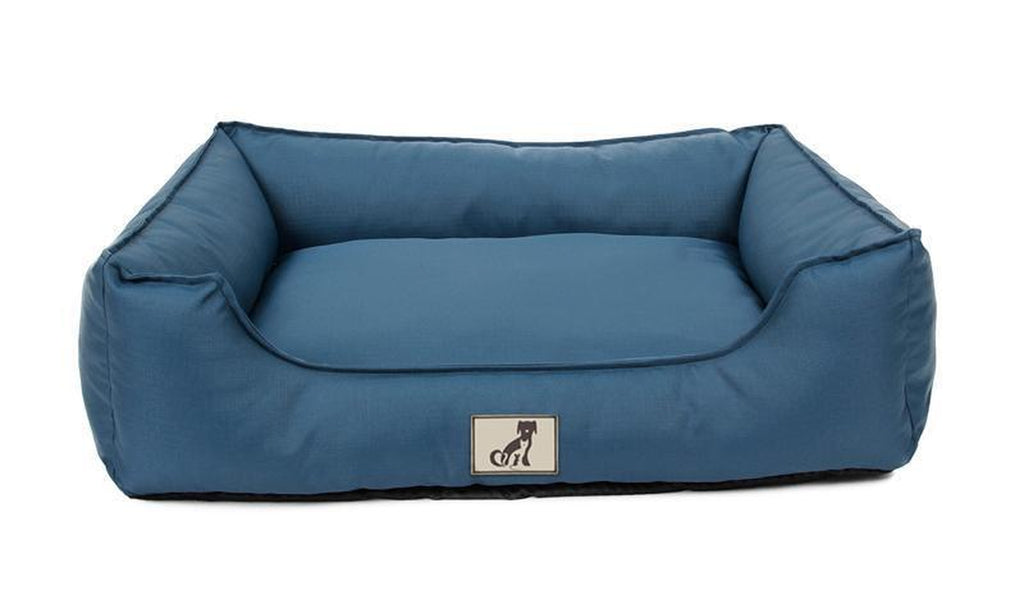 Allpetsolution Allpetsolution