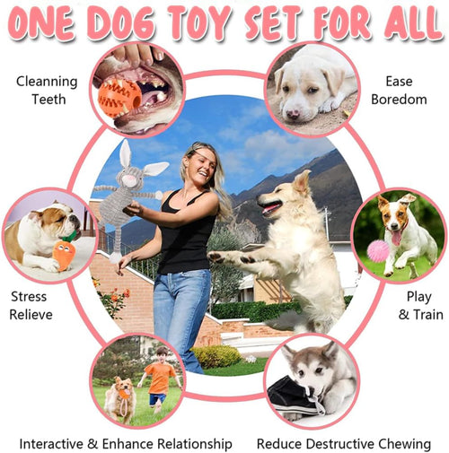 10Pcs Dog Toys for Small Dogs, Squeaky Plush Dog Toys Set, Puppy Teething Toys Rope Ball, Indestructible Dog Chew Toys for Boredom, Dog Toys Gift for Small Medium Dogs