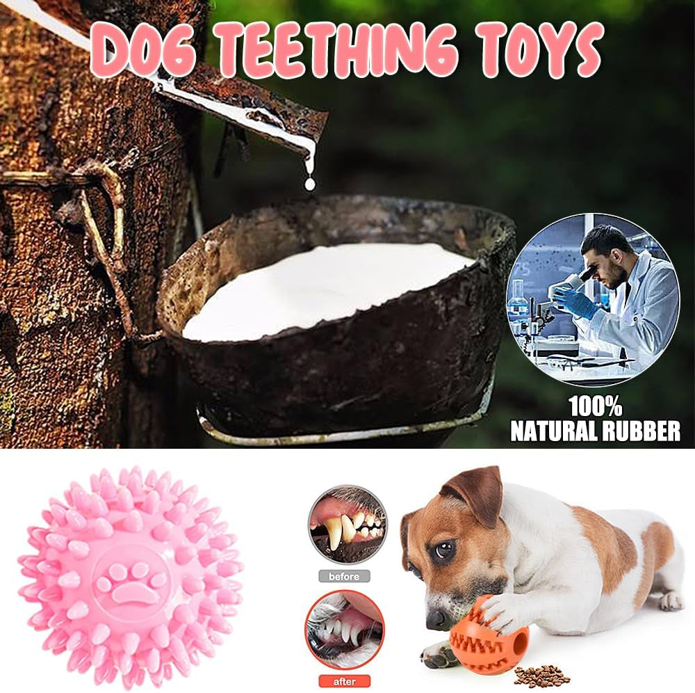 10Pcs Dog Toys for Small Dogs, Squeaky Plush Dog Toys Set, Puppy Teething Toys Rope Ball, Indestructible Dog Chew Toys for Boredom, Dog Toys Gift for Small Medium Dogs