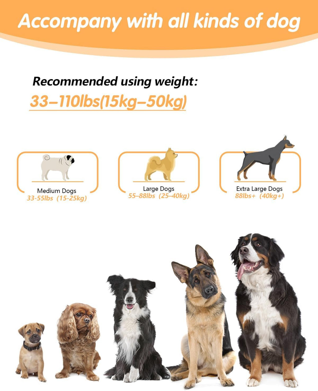 Hands Free Dog Lead, Multifunctional Crossbody Dog Lead