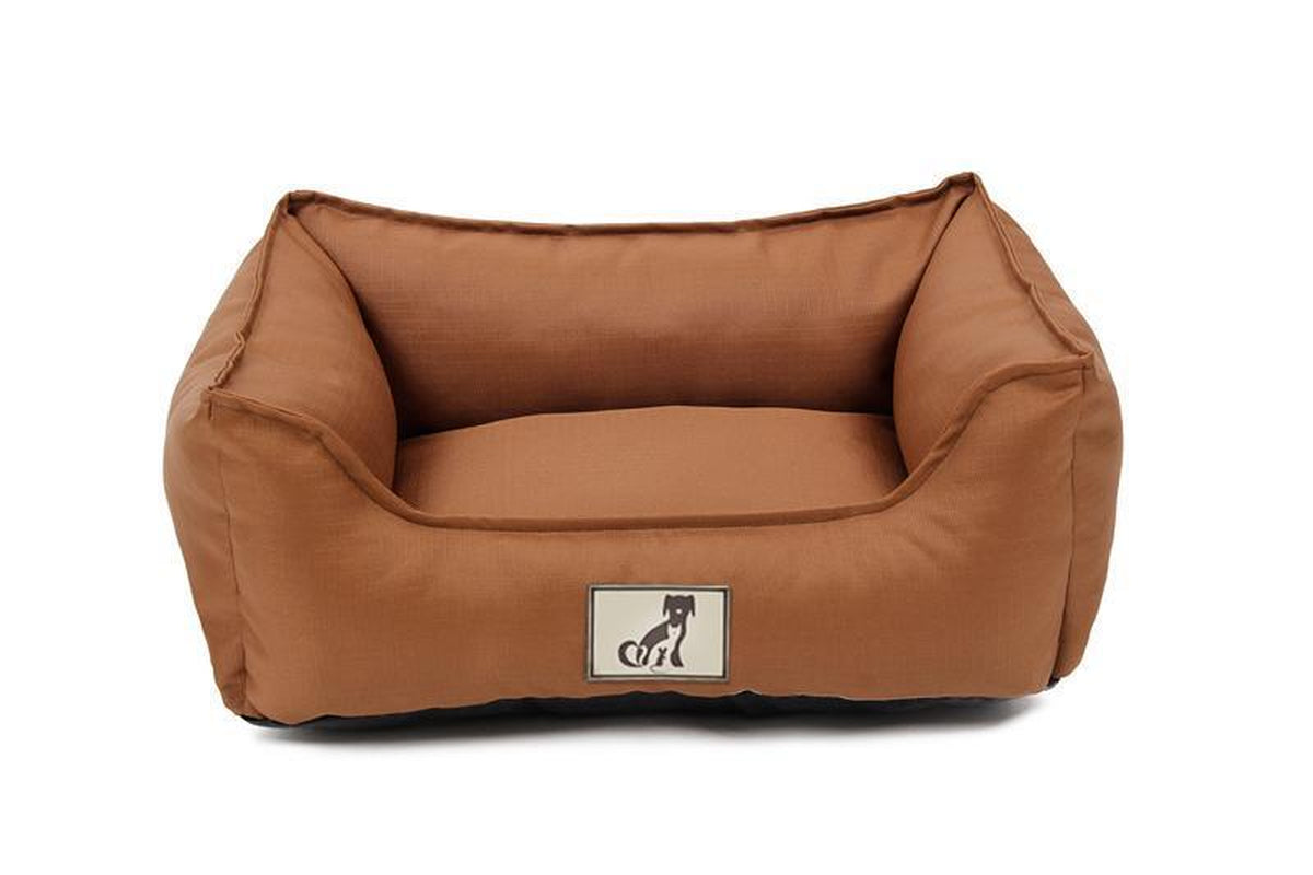 Allpetsolution Allpetsolution