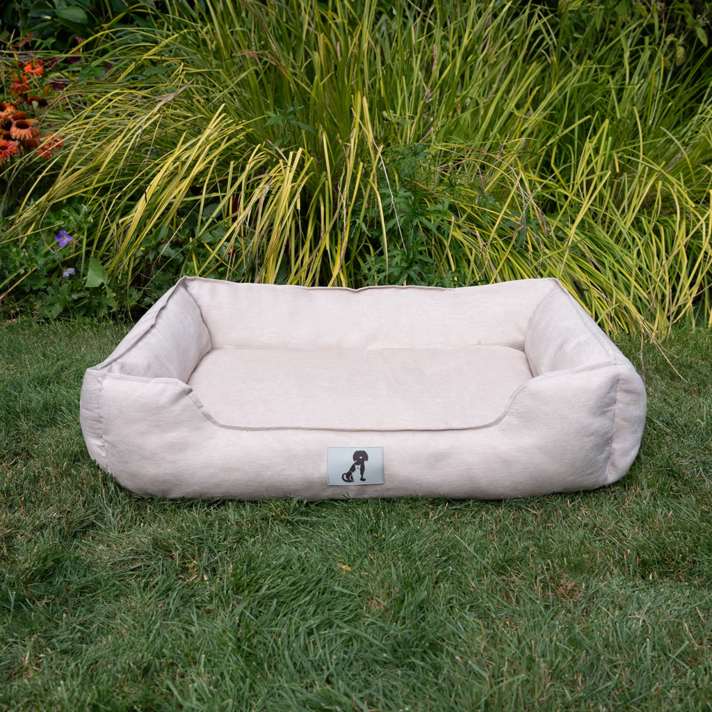 Allpetsolution Allpetsolution