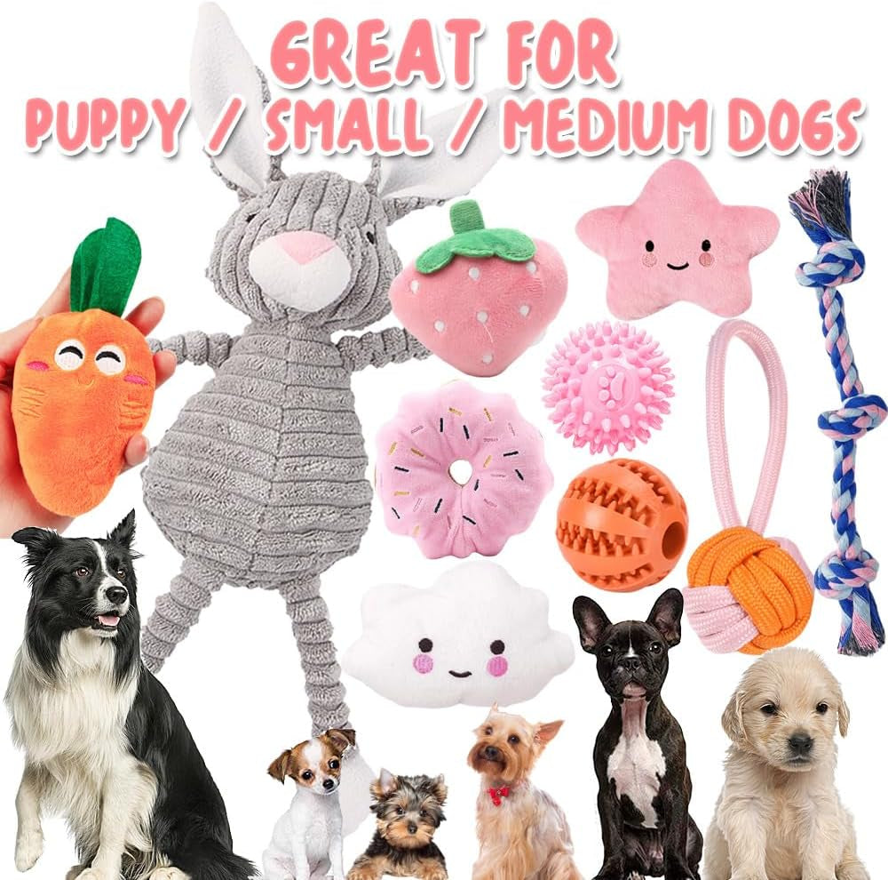 10Pcs Dog Toys for Small Dogs, Squeaky Plush Dog Toys Set, Puppy Teething Toys Rope Ball, Indestructible Dog Chew Toys for Boredom, Dog Toys Gift for Small Medium Dogs