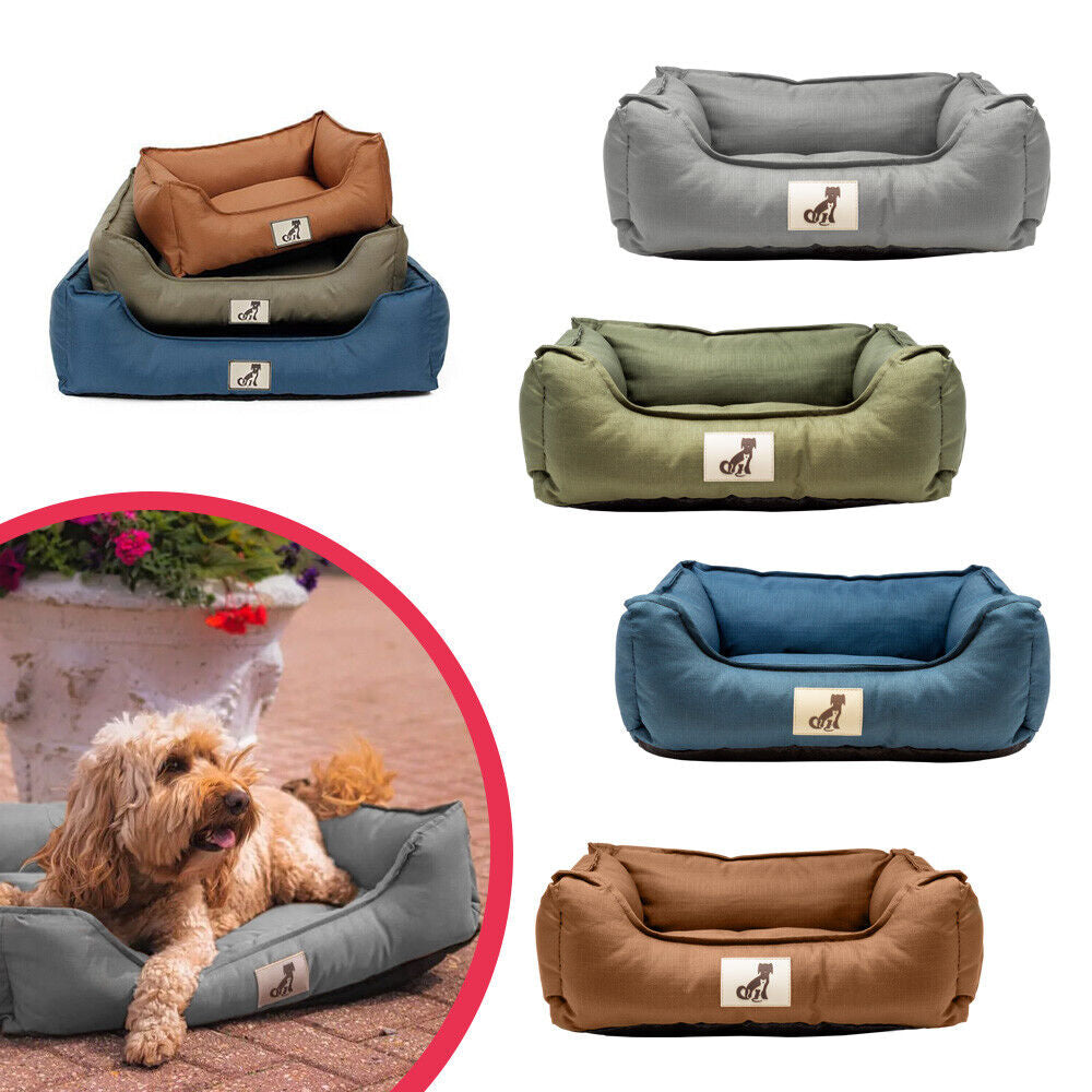 Allpetsolution Allpetsolution