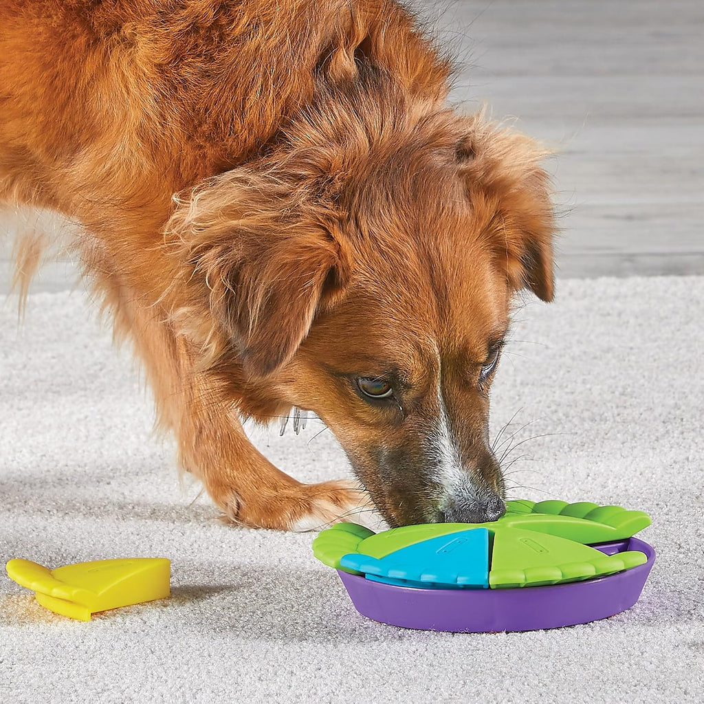Slice-O-Pie Treat Puzzle for Dogs, Interactive Dog Toys for Boredom, Stimulation Brain Game, Slow Feeder Dog Bowl, Dog Presents, Birthday Dog Toy