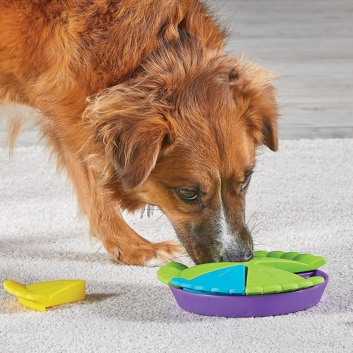 Slice-O-Pie Treat Puzzle for Dogs, Interactive Dog Toys for Boredom, Stimulation Brain Game, Slow Feeder Dog Bowl, Dog Presents, Birthday Dog Toy